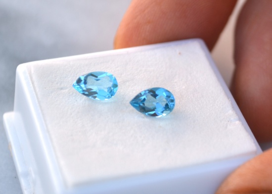 Gem and Coin Auction