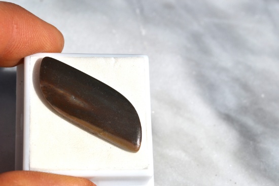 16.38 Carat Fine Fruited Jasper