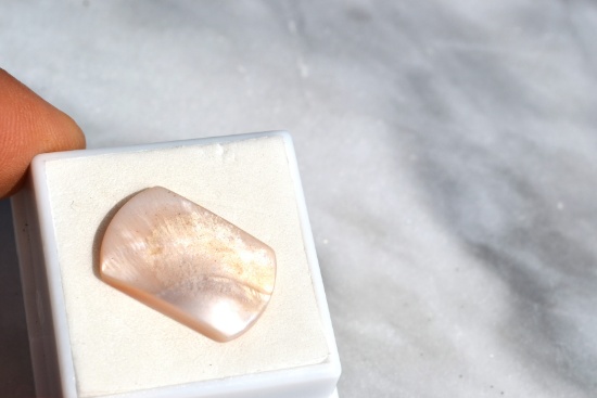 10.46 Carat Fine Shell Token