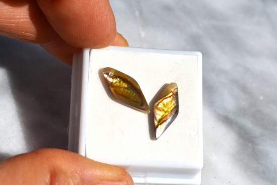 4.58 Carat Matched Pair of Abalone Earrings