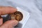24.31 Carat Fine Fossilized Ammolite