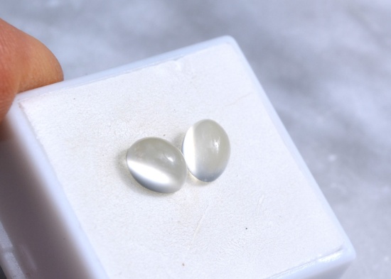 3.66 Carat Matched Pair of Cat's Eye Moonstones