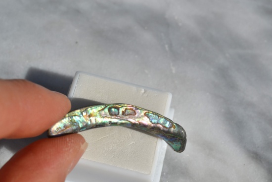 10.58 Carat Bright and Beautiful Abalone Shell