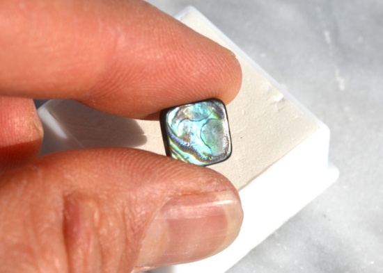 3.30 Carat Bright and Beautiful Abalone Shell