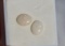 2.26 Carat Matched Pair of Australian Opals