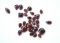 30.82 Carats of Garnet Cabochons