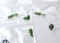 6.25 Carat Parcel of Chrome Diopsides