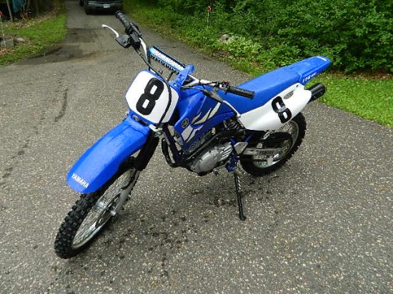 Yamaha Dirt Bike TT-R 125L