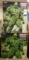 Swamp Thing Museum Masterline Limited Ed. Statue