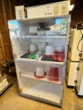 AMERICAN INCUBATOR