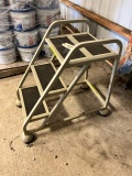 METAL STEP LADDER