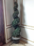 Decorative Plant (84