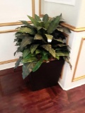 Artificial Plant