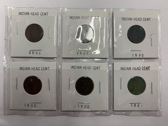 (6) Indian Head Cent Coins