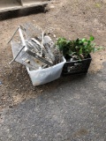 2 Boxes w/Misc. Trays, Plants