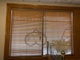 All Window Blinds