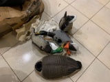 Group of Decoys
