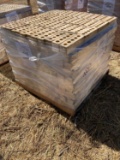 Pallet w/Decorative Bricks (480 Pcs) 3'' x 10''