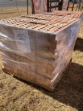 Pallet w/ Decorative Bricks (420 Pcs) 3'' x 10''