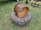 (1) Tractor Tire w(2) Rims