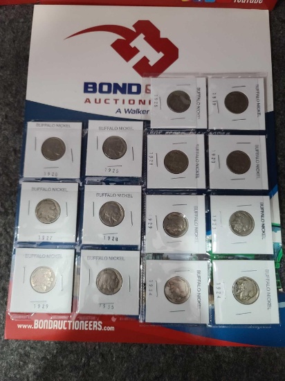 (14) Buffalo Coins