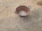 Metal Cast Iron
