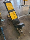 Lot w/1 Weight Equipment Seat