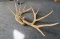 Antlers (155'')