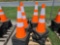 (50) Great Bear New Safety Traffic Cones