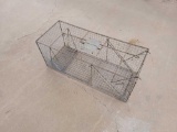 Animal Trap