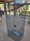 Animal Trap