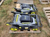 Group of (2) Ryobi 20