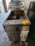 Stainless Steel Commercial Fryer