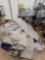 Pallet of Rugs, Group of Tables, Group of Award Trophies, Waiting Chair