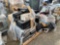 (2) Pallets w/Printers, Hitachi Projectors, Nextbook TouchScreen Tablets in boxes, etc.
