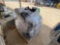 Group of Tuf Tote Fruhauf Hat Cases w/Shakos on 1 Pallet