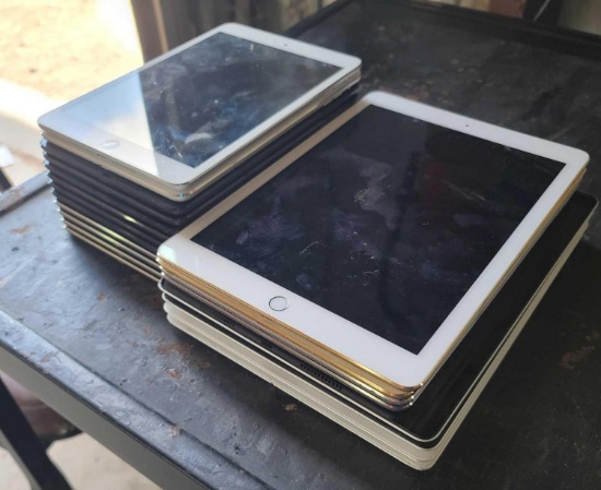 (20) Apple iPads