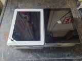 (20) Apple iPads
