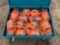 2024 Unused Paladin Model PLD-RF24 Ratchet Tie Down and Flat pack Tool Box...