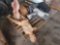 (2) Pallets w/Medical Practice Manikin, Anatomical Torso Model, Medical Organ Models, Plus