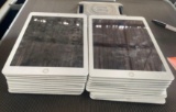 (20) Apple iPads