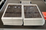(20) Apple iPads