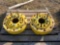 (2) John Deere 10-Bolt Dual Hubs