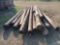 Group of Wood Utility Poles