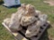 Pallet of Orange Big Rock Boulders