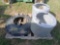 Pallet w/ (1) 12-Hole Wheel Assist Disc, (2) 12-Hole Wheel Spacers