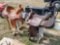 (1) Wrangler Brown Leather Western Horse Saddle, (1) Orange/Brown Leather Roping Saddle