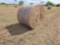(50) Rolls of Hay (50 x's the $Money or Choice of Quanity)