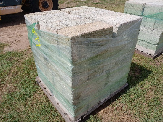 Pallet w/ Volcanic Stones