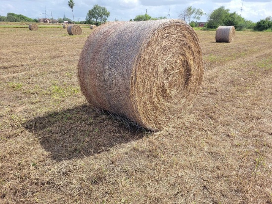 (50) Rolls of Hay (50 x's the $Money or Choice of Quanity)